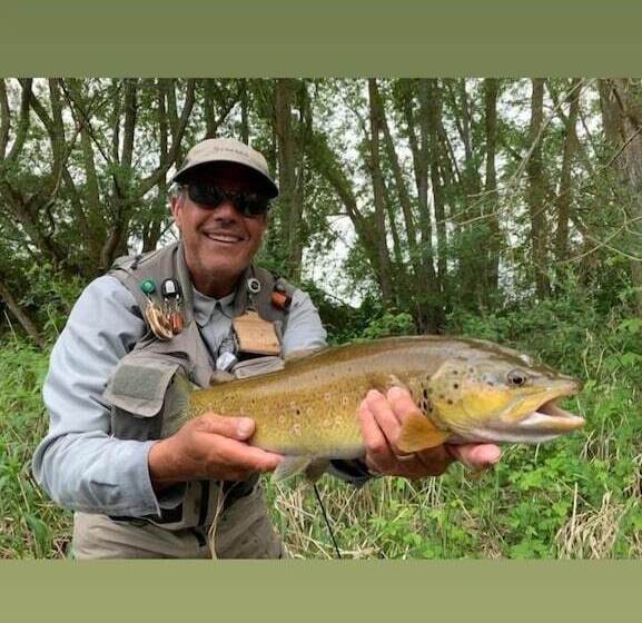 בית מלון כפרי La Alegría