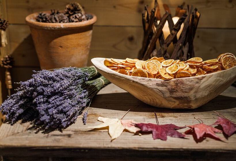 酒店 Hôtel Portetta