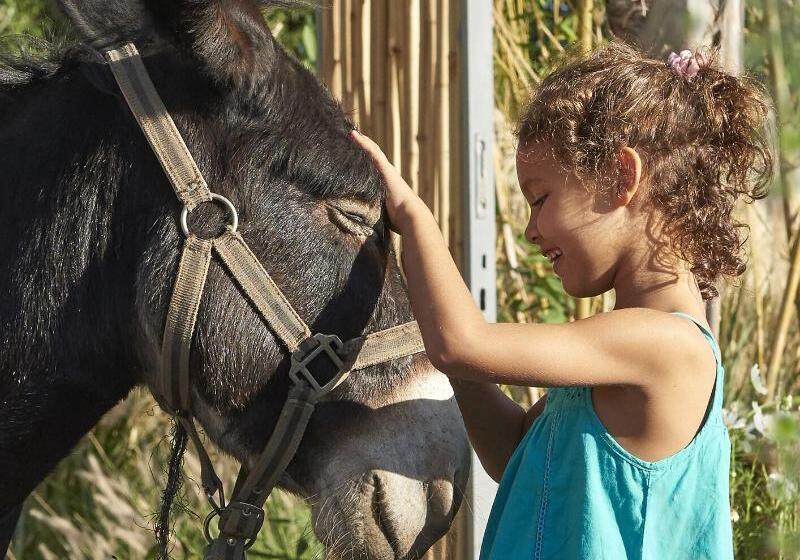 酒店 Mandarin Oriental Marrakech