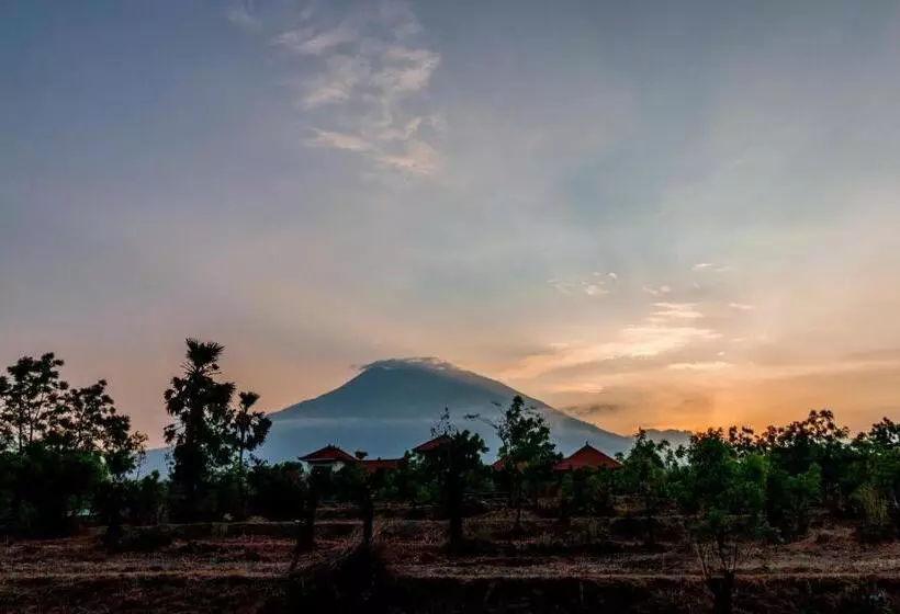호텔 Pondok Mimpi Tulamben