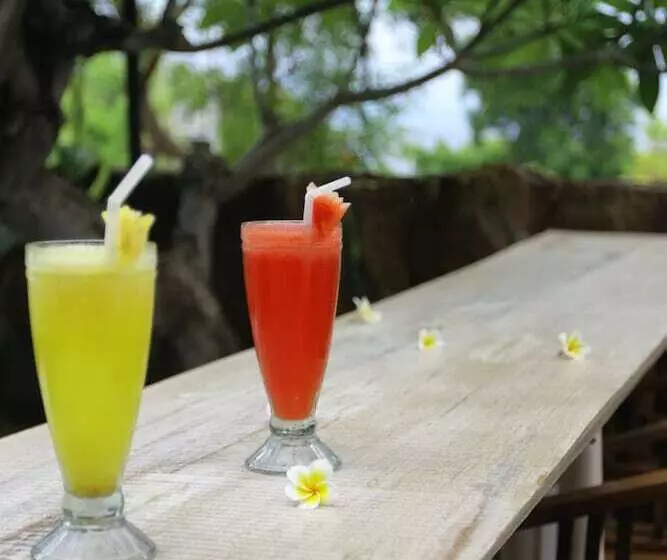 호텔 Pondok Mimpi Tulamben