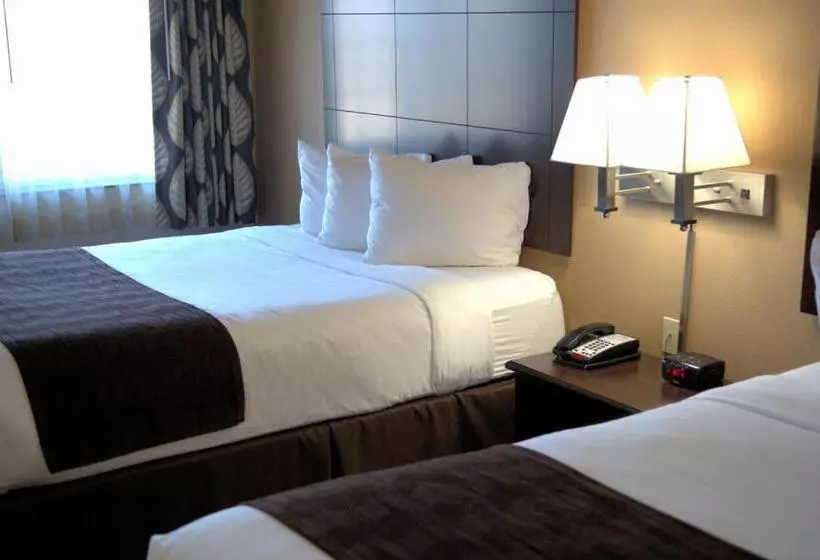 호텔 Rock Island Inn & Suites