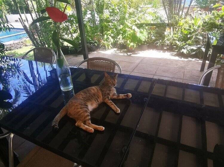 La Pernela Beachfront Resort