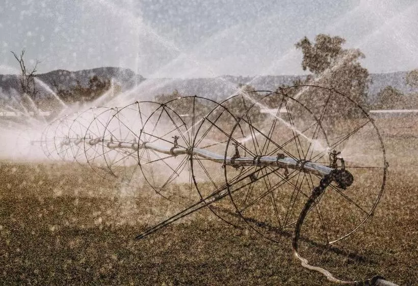 モーテル Denman Motor Inn