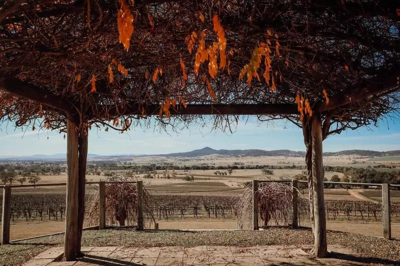 モーテル Denman Motor Inn