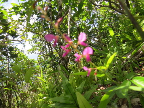 Titli Gite & Table D'hotes