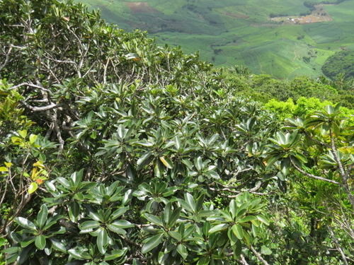 Titli Gite & Table D'hotes