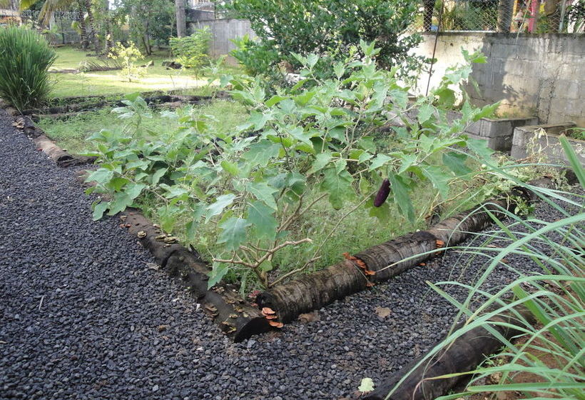 Titli Gite & Table D'hotes