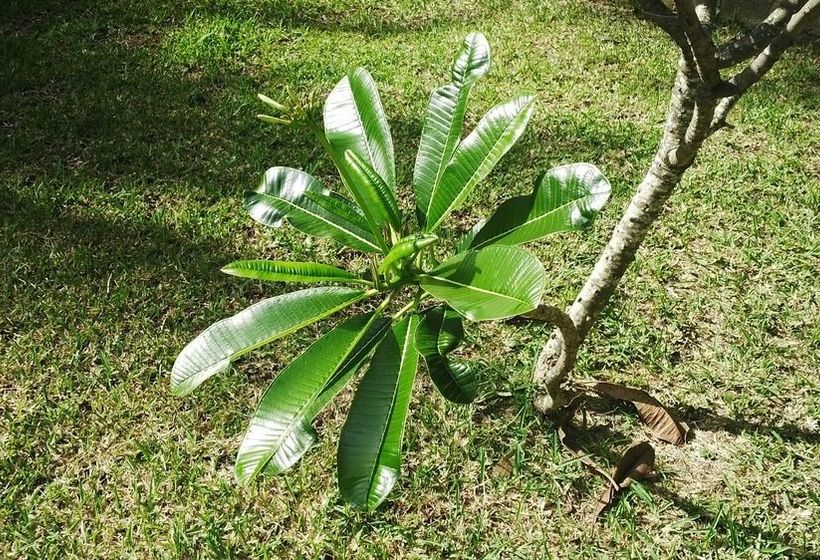 Titli Gite & Table D'hotes