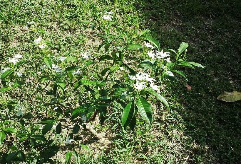 Titli Gite & Table D'hotes