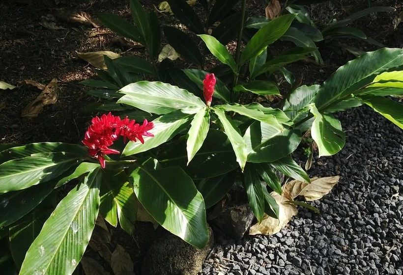 Titli Gite & Table D'hotes