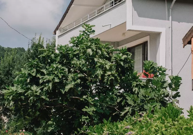 Hotelli Agva Marina House