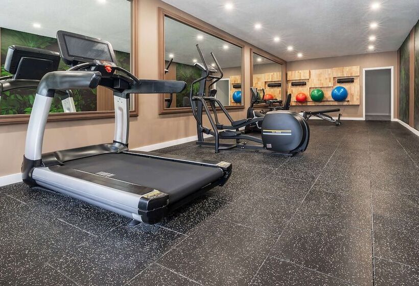 فندق Dolce By Wyndham Hollywood