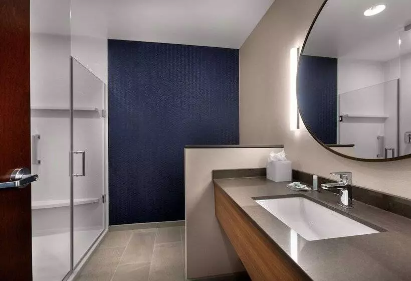 ホテル Fairfield By Marriott Inn & Suites Coastal Carolina Conway