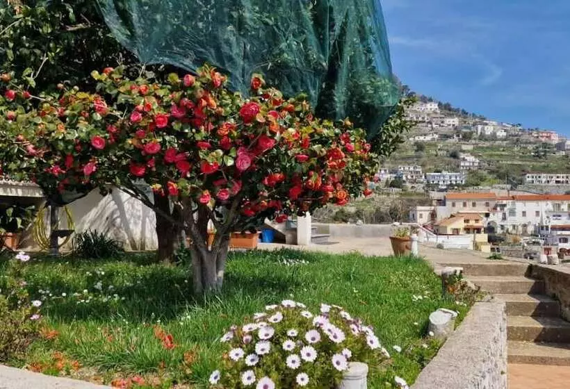 レジデンス Trekking Lovers House Scala With Ravello Sea Views