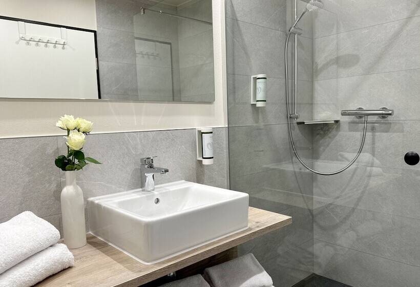 Dimas Hotel Ettenheim Rust