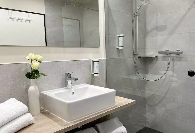 Dimas Hotel Ettenheim Rust