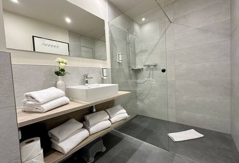 Dimas Hotel Ettenheim Rust