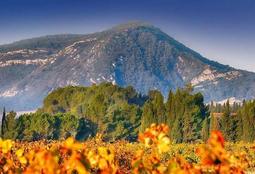 ペンション Serge Le Belge Sejour Chez L Habitant