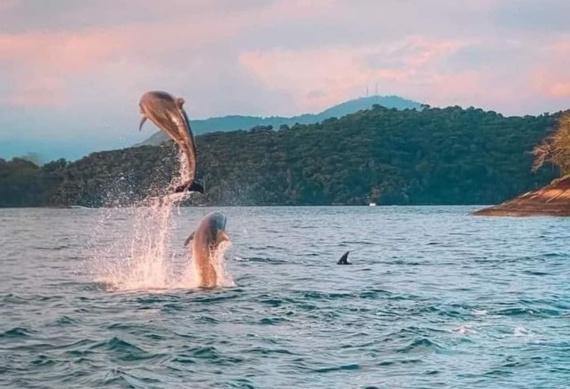 Hotel Eco Pousada Tapera Das Palmas