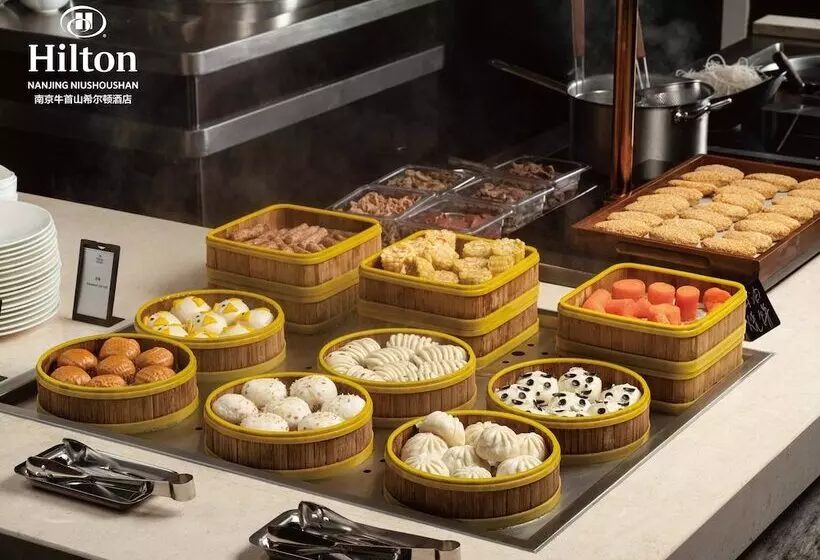 هتل Hilton Nanjing Niushoushan