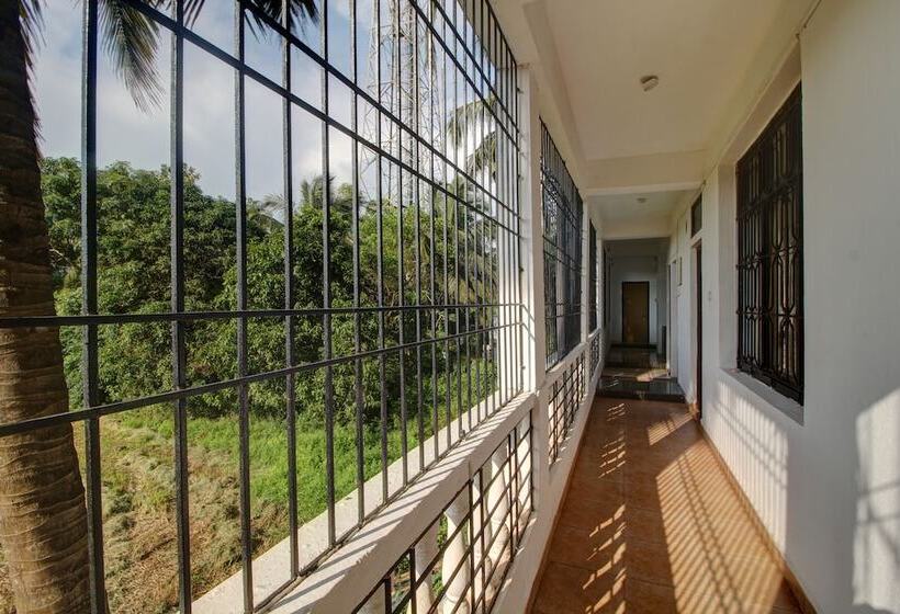 ホテル Pleasure Inn Near Turtle Beach Morjim