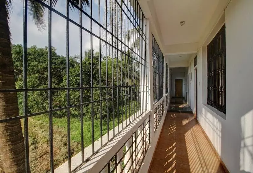 ホテル Pleasure Inn Near Turtle Beach  Morjim