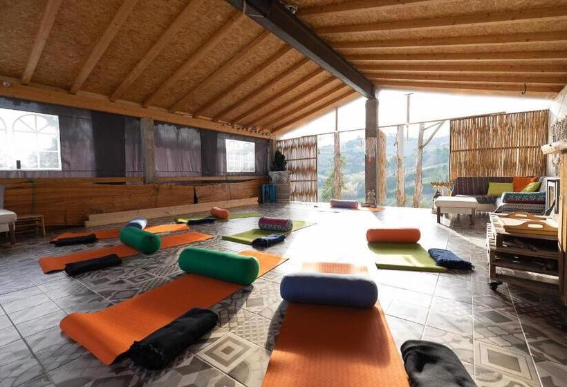 تختخواب و صبحانه Quinta Da Vida Serena