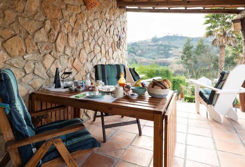 تختخواب و صبحانه Quinta Da Vida Serena