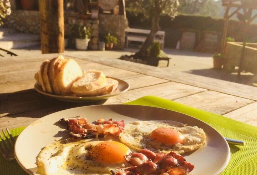 تختخواب و صبحانه Quinta Da Vida Serena