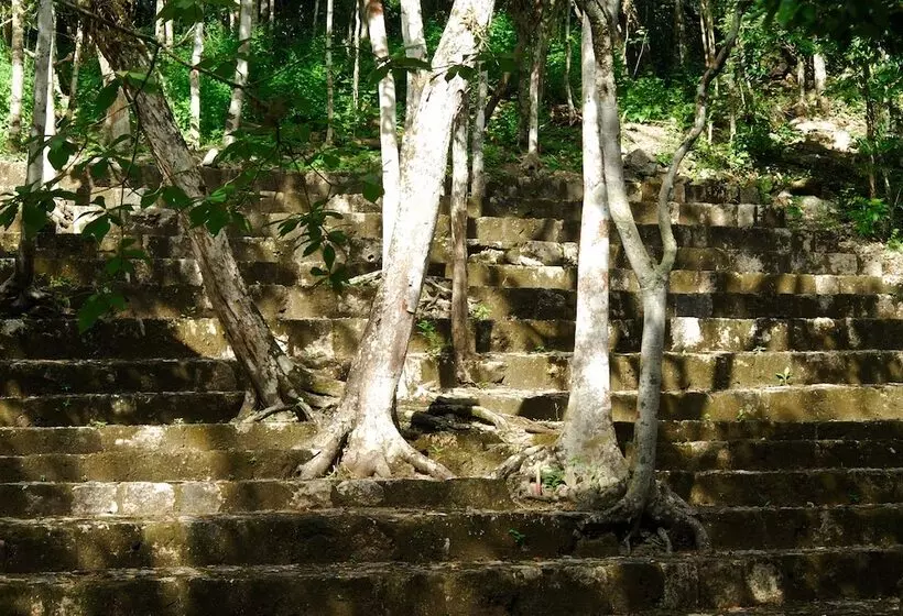 Hotelli Puerta Calakmul