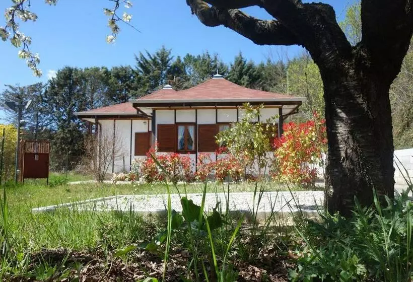 B&b The Lodge