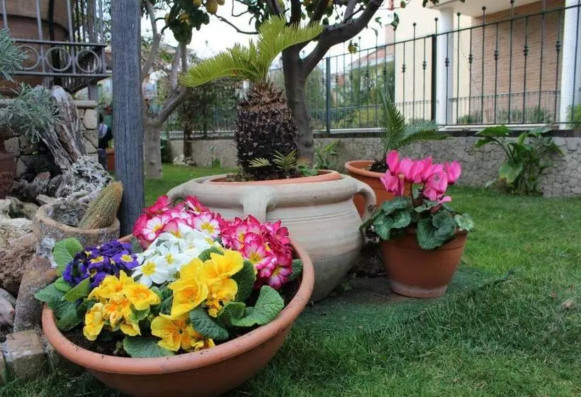 B&b Villa Lilla Spiaggia Inclusa E Bici Gratuite A San Benedetto Del Tronto Camere Con Terrazzo E Co