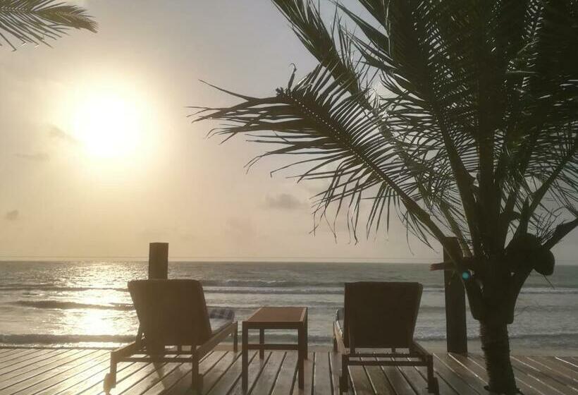 膳宿费 Carneiros Paradiso