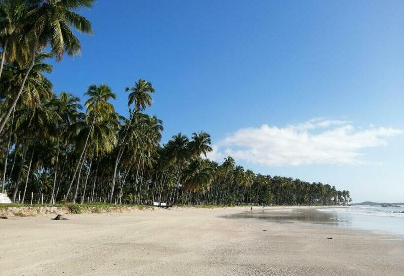 膳宿费 Carneiros Paradiso