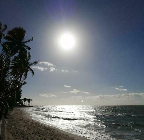 膳宿费 Carneiros Paradiso