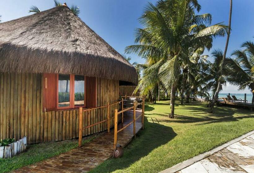 膳宿费 Carneiros Paradiso