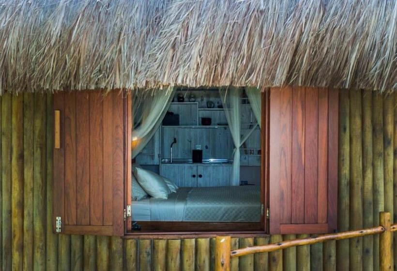 膳宿费 Carneiros Paradiso