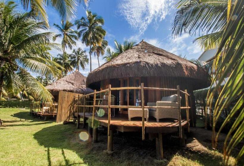 膳宿费 Carneiros Paradiso