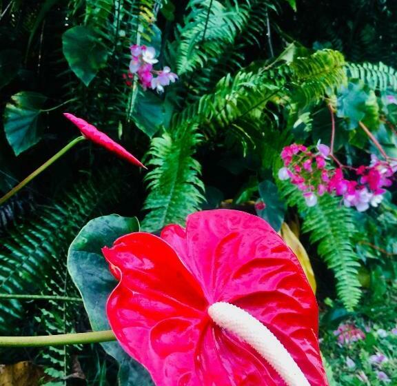 Пансион Hale Nonno