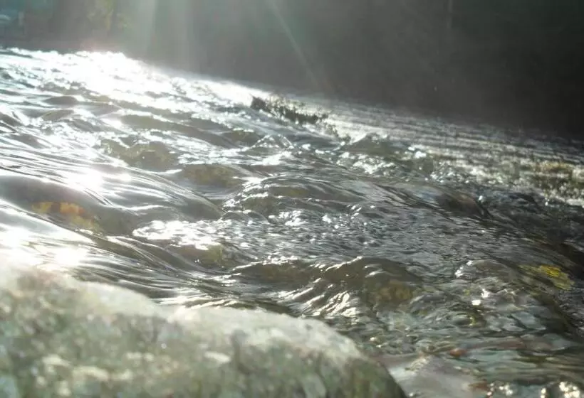 ベッドアンドブレックファースト Chambres D Hôtes Du Moulin Du Vey