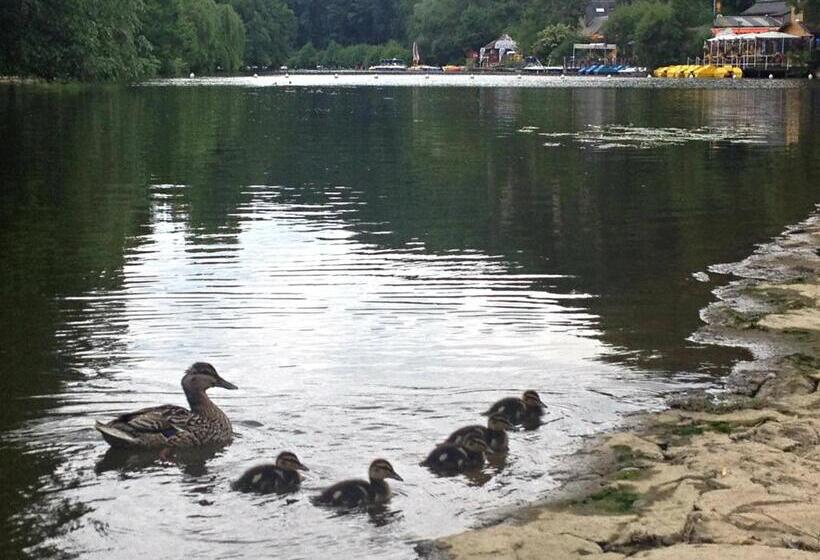 Bed and Breakfast Chambres D Hôtes Du Moulin Du Vey