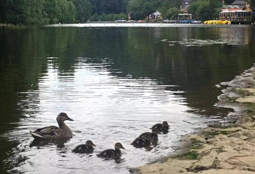 ベッドアンドブレックファースト Chambres D Hôtes Du Moulin Du Vey