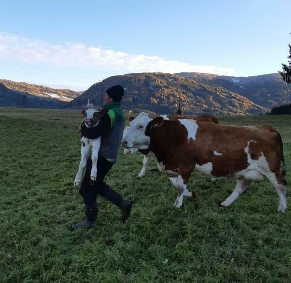 ホテル Bio Bauernhof Schoberhof