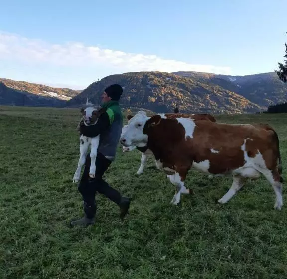 ホテル Bio Bauernhof Schoberhof