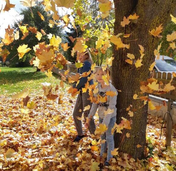 ホテル Bio Bauernhof Schoberhof