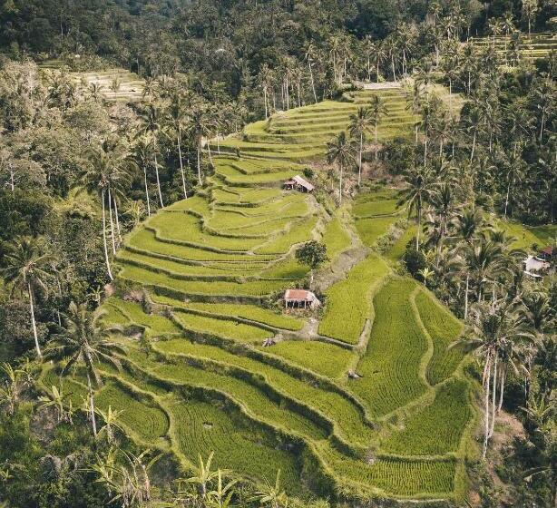 펜션 Bali Bio Villas