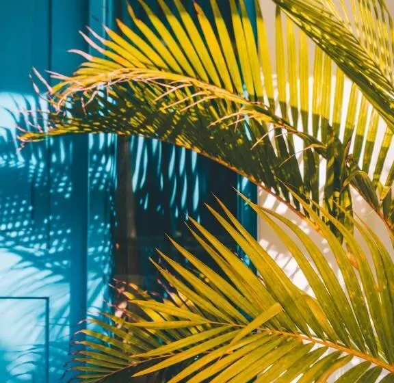 ペンション Bali Bio Villas