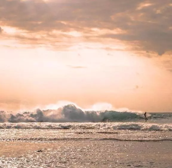 ペンション Bali Bio Villas