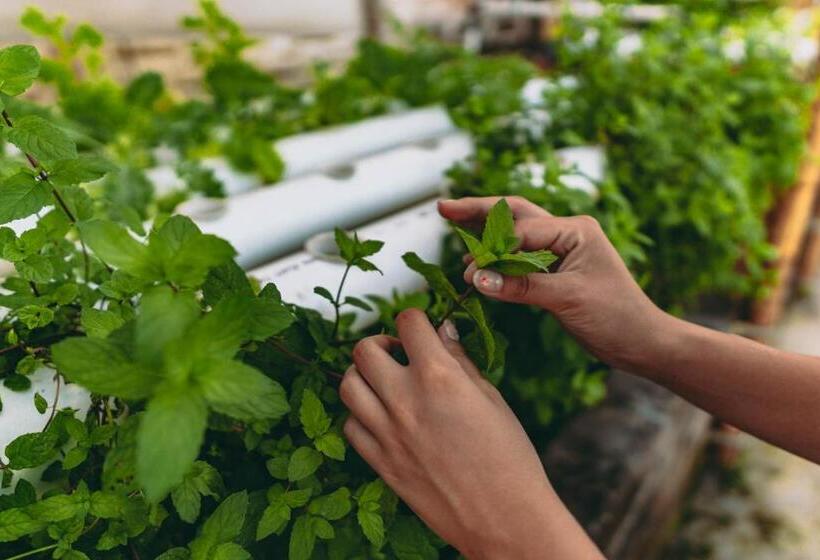 بنسيون Bali Bio Villas